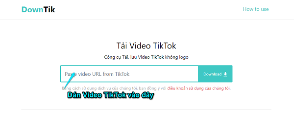 Cách lưu video TikTok trên máy tính nhanh và đơn giản nhất