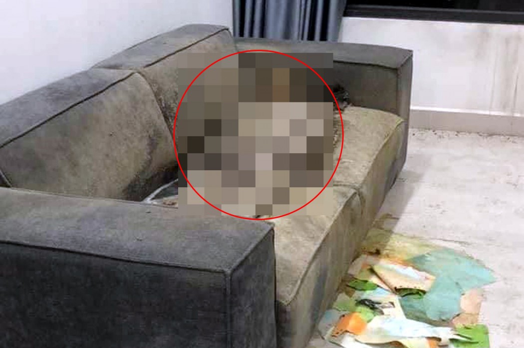 Chi tiết đáng ngờ trong vụ tìm thấy xác chết khô trên sofa