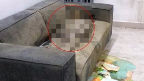 Chấn động Hà Nội: Một xác chết khô gần 2 năm được tìm thấy trên sofa trong căn hộ cao cấp!