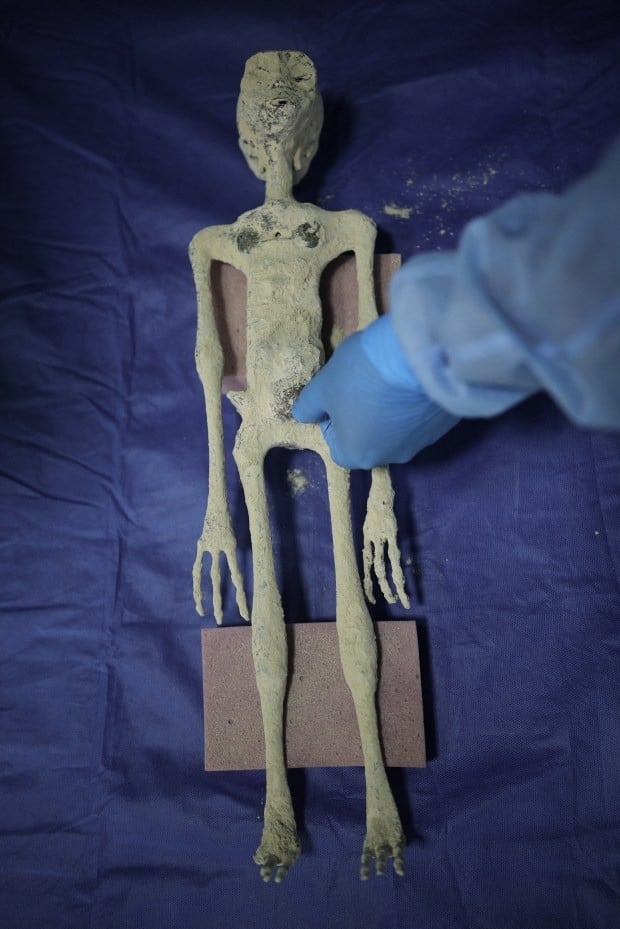 Bí ẩn về 'xác ướp người ngoài hành tinh Nazca' chính thức được tuyên bố!