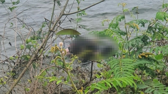 Phát hiện thi thể một thanh niên vác đá trên lưng tại hồ đá Làng đại học