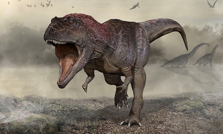 Phát hiện dấu chân khủng long hóa thạch có niên đại khoảng 120 triệu năm!