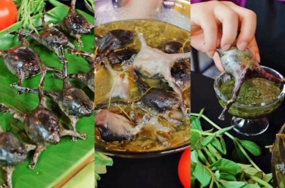 Đặc sản ếch òn của Ninh Thuận, trend ăn uống mới không phải ai cũng dám đu