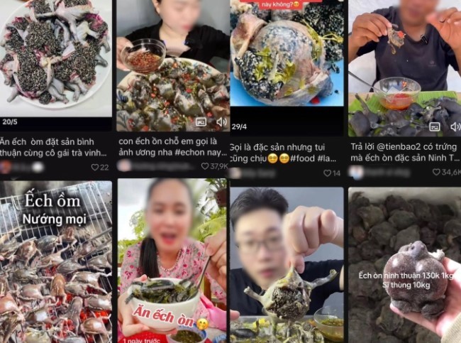 Đặc sản ếch òn của Ninh Thuận, trend ăn uống mới không phải ai cũng dám đu