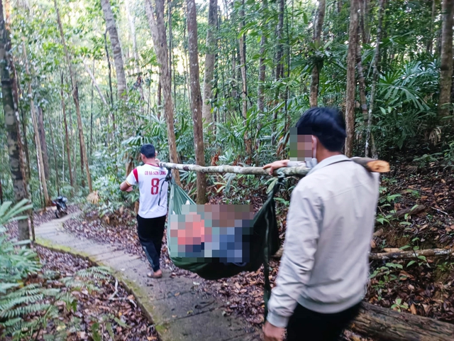 Nữ du khách bị cây rừng đè tử vong khi đang tham quan thác K50