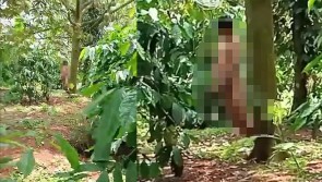 Đắk Lắk: Phát hiện xác người đàn ông lõa thể treo cổ trong vườn sầu riêng