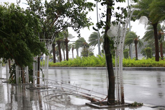 Những hình ảnh cập nhật ở Quảng Ninh ngay lúc này: Bão số 2 gây mưa rất to, cây gãy đổ xuống đường- Ảnh 3.
