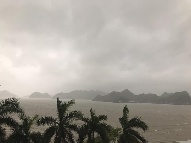 Những hình ảnh cập nhật ở Quảng Ninh ngay lúc này: Bão số 2 gây mưa rất to, cây gãy đổ xuống đường- Ảnh 12.