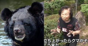 Gấu đen bị bà cụ 82 tuổi 