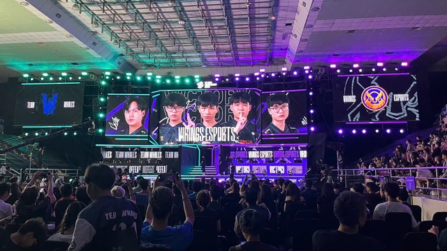 Hủy diệt Team Whales, Vikings Esports giành vé vàng đến Chung Kết Thế Giới 2024