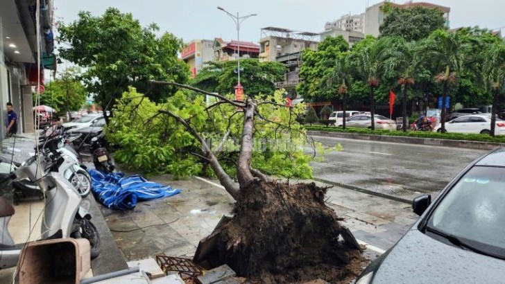 Siêu bão cấp 5 đổ bộ, nhiều người dân gặp nạn