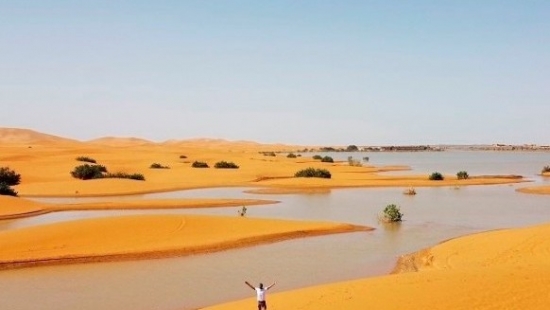 Chuyện lạ: Sa mạc Sahara bỗng ngập lụt sau hơn 50 năm