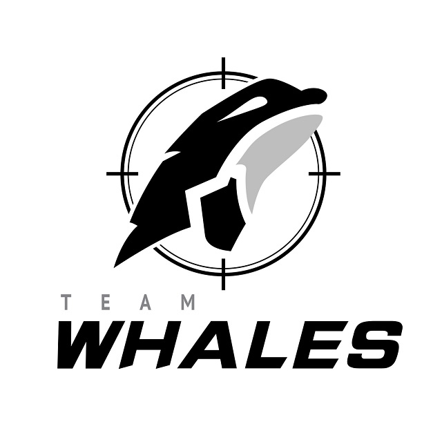 LMHT: Rộ tin đồn một tổ chức nước ngoài tiếp theo đầu tư vào VCS, nhiều khả năng sẽ là Team Whales