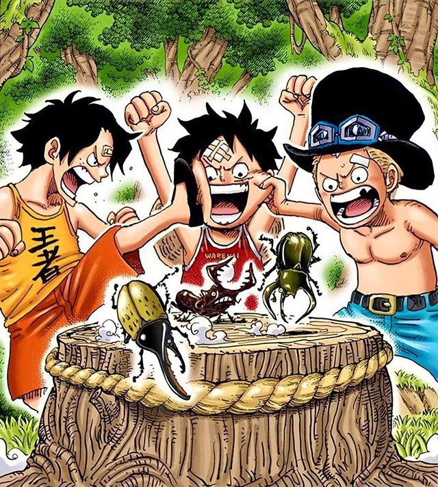 One Piece: Tổng hợp meme One Piece 1053 làm điên đảo cộng đồng mạng