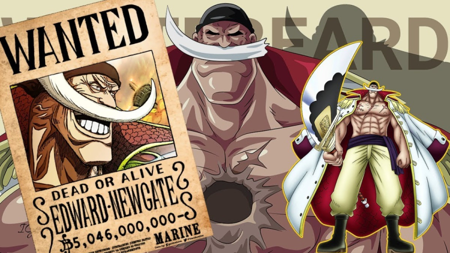 One Piece: Những hải tặc có tiền truy nã cao hơn Tứ Hoàng Luffy