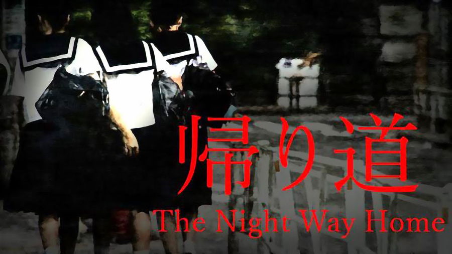 Cốt truyện The Night Way Home: Đường đêm không yên ả