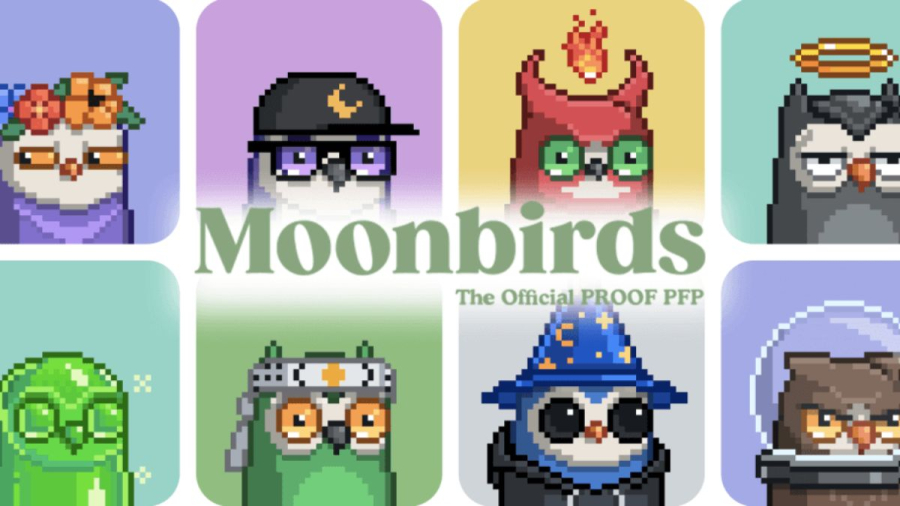 Cộng đồng NFT tranh cãi vì Moonbirds cấp phép CC0