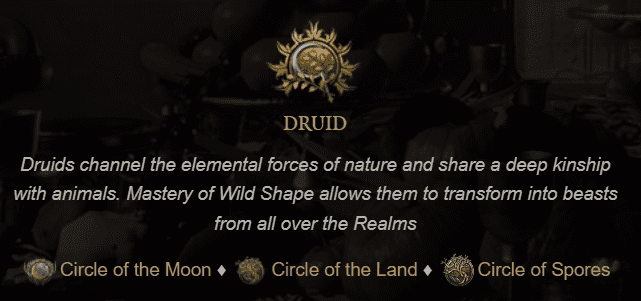 Hướng dẫn cách chơi Baldur's Gate 3 – các cơ chế quan trọng (phần 2) - Druid.png