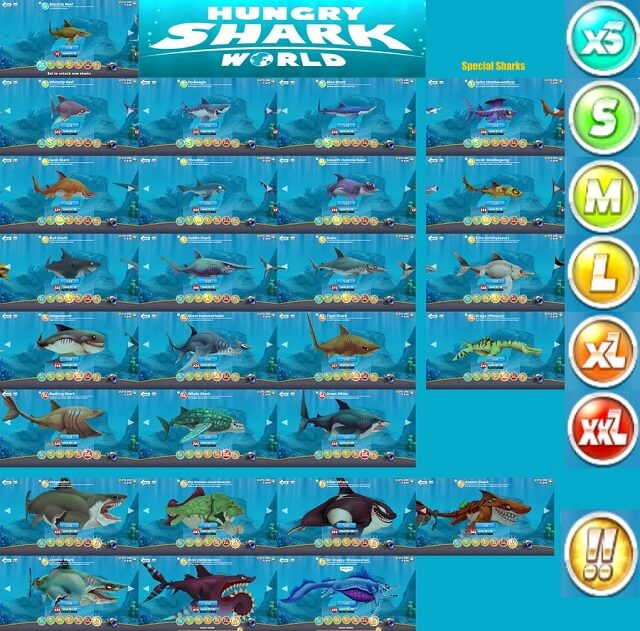 The Meg – Siêu cá mập bạo chúa đại náo Hungry Shark World