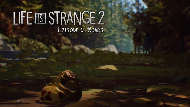 Cốt truyện Life is Strange 2 Episode 1 - Thảm họa bất ngờ và hành trình tới Mexico